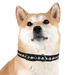 TOKEOMAG Dog Collar - Image 18