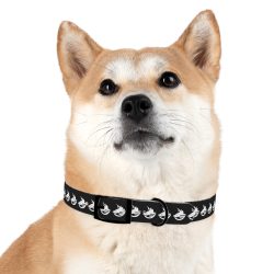 TOKEOMAG Dog Collar - Image 21