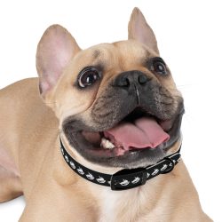 TOKEOMAG Dog Collar - Image 3